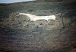 0878 - motif cheval géant, sud de l'angleterre 0878 - motif cheval géant, sud de l'angleterre