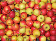 apfel, apfel, apfel, apfel, apfel, apfel, apfel, a