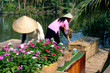 preparing for the next market