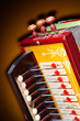 detail of an old accordion detail of an old accordion