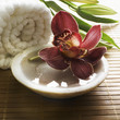 décor floral de massage zen