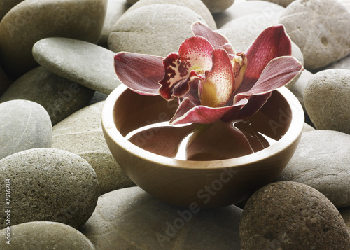 décor  floral zen