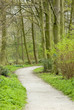 the park road in portrait