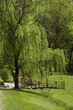 Photo: garden garden