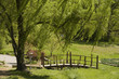 Photo: garden garden