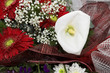 color bouquet