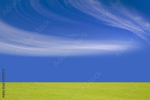 field of grass and pleasant sky
