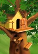 small house on the tree top