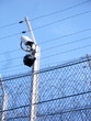 surveillance