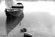 the view of silence