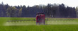 landwirtschaft