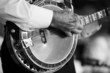 banjo bw