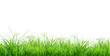 herbes