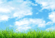 campagne