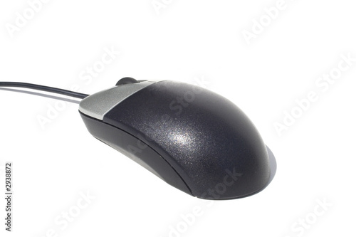 Photo: mouse mouse