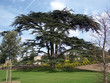 the gardens at amboise 3