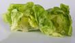 salat