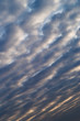 cumulus clouds at dawn - image 31