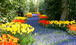 spring in garden