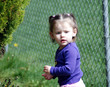 toddler picking flowers