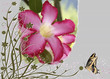 floral background floral background