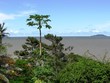 vue sur la mer guyanaise