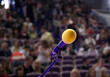 microphone on the stage and audience