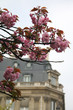 paris in spring paris in spring