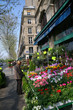paris street paris street