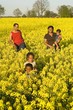 happy family in a field full of yellow flowers happy family in a field full of yellow flowers