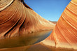 the wave