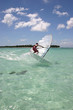caribbean windsurfer