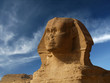 sphinx