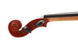 violin head on white background