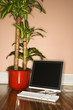 Photo: computer on floor with houseplant. computer on floor with houseplant.