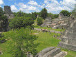plaza of old maya ruins in the jungle, tikal, guatemala plaza of old maya ruins in the jungle, tikal, guatemala