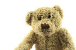teddy