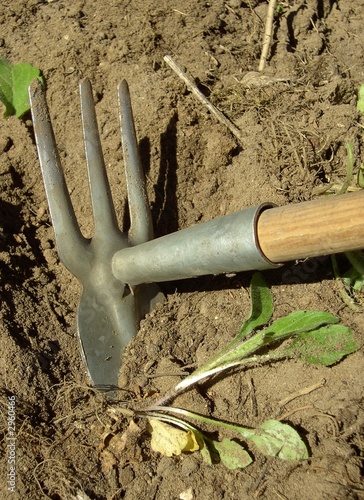 gartenarbeit 1 gartenarbeit 1