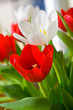 tuelpe ao_070311_6200.cr2.jpg tuelpe ao_070311_6200.cr2.jpg
