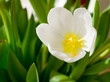tuelpe ao_070311_6196.cr2.jpg tuelpe ao_070311_6196.cr2.jpg