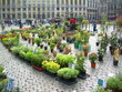 marché aux fleurs grand place bruxelles