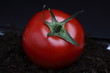 macro pomodoro 1