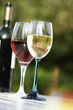 glas mit rotwein und wei§wein