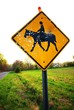 horse crossing sign