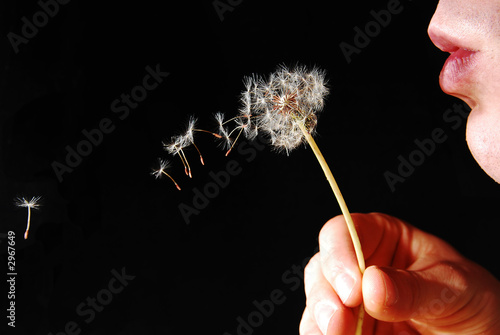 Photo: blown away blown away