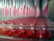 96-well microplate