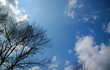 ciel bleu