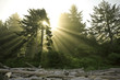 sunshine 2