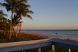 beach and palms