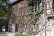 maison envahie par le lierre